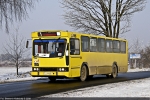 Jelcz M11 #1985 2009-01-07