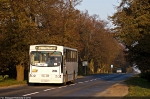 Jelcz M11 #2094 2010-10-08