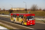 Jelcz M11 #2123 2013-02-04