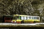 Jelcz M121M #2215 2008-12-19