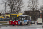 Jelcz M121M #2245 2019-02-11