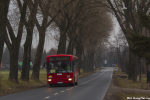 Jelcz M121M #2221 2019-02-15
