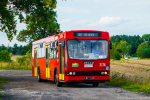 Jelcz M121M #2176 2018-08-27