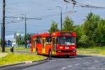 Jelcz M121M #2176 2018-06-27