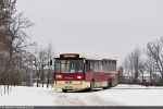 Jelcz M121MB #007 2016-01-22