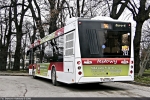 MAZ 203 #AE 7749-7 2008-12-08