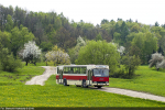 Jelcz L120 #KMY 84VP 2016-04-23