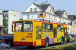 Jelcz M11 #239 2007-07-19