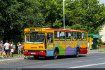 Jelcz M11 #239 2007-07-19