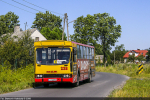Jelcz M11 #238 2008-08-01