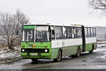Ikarus 280.70D #203 2009-02-09