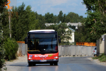 MAN NL273 Lion's City LPG #2447 2014-07-06