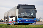 MAN NL293-10,5 Lion`s City M #WS 77800 2015-12-04